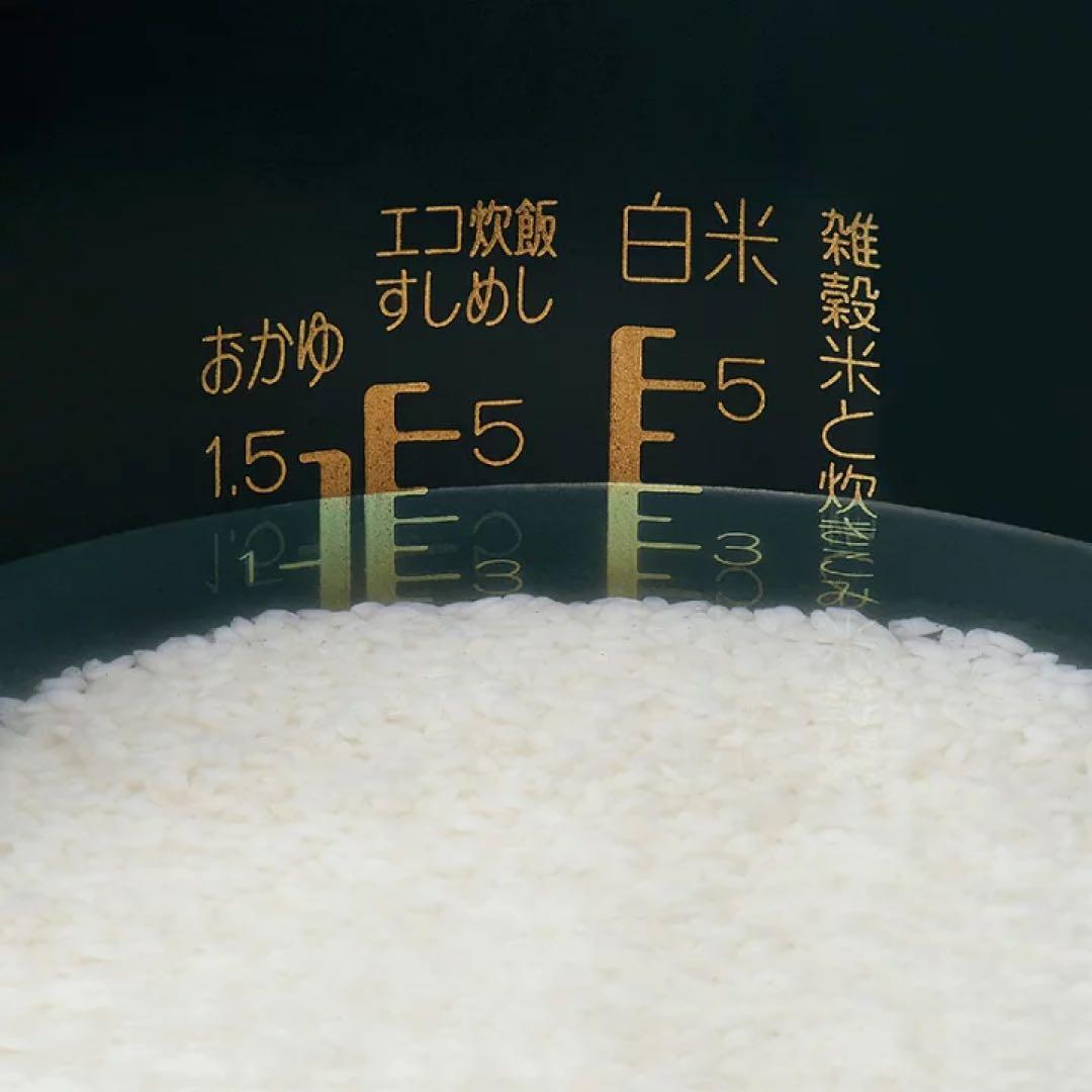 象印マホービン 炊飯器 STAN IH炊飯ジャー 5.5合 NW-SA10