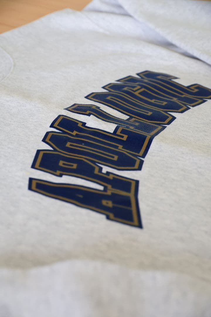 Apollogic アポロジック メンシプ限定 スウェット Tシャツ 4点 ML