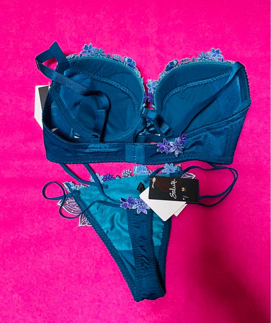 サルート✩ワコール 【おとめ座 33G】Salute E70 M