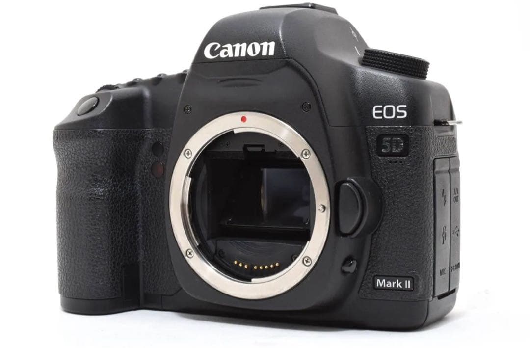 ★極上品★キヤノン Canon EOS 5D Mark II ボディ