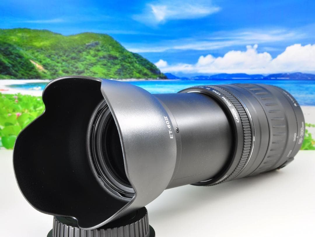 キャノン Canon EF 90-300mm F4.5-5.6 望遠レンズ