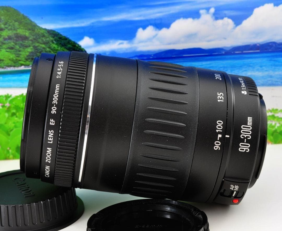 キャノン Canon EF 90-300mm F4.5-5.6 望遠レンズ