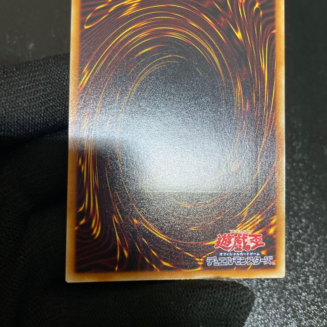 【美品】　ブラックフェザー・ドラゴン　綺麗