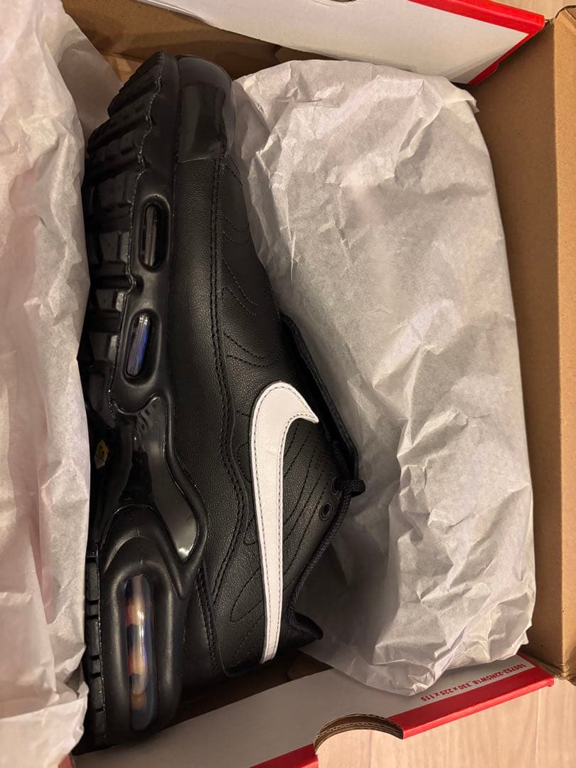 希少サイズ Nike Women's Air Max Plus 27.5