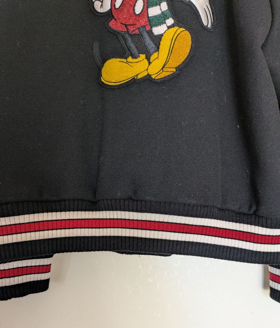 【美品】Disney✕COACHレディーススタジャンMサイズ