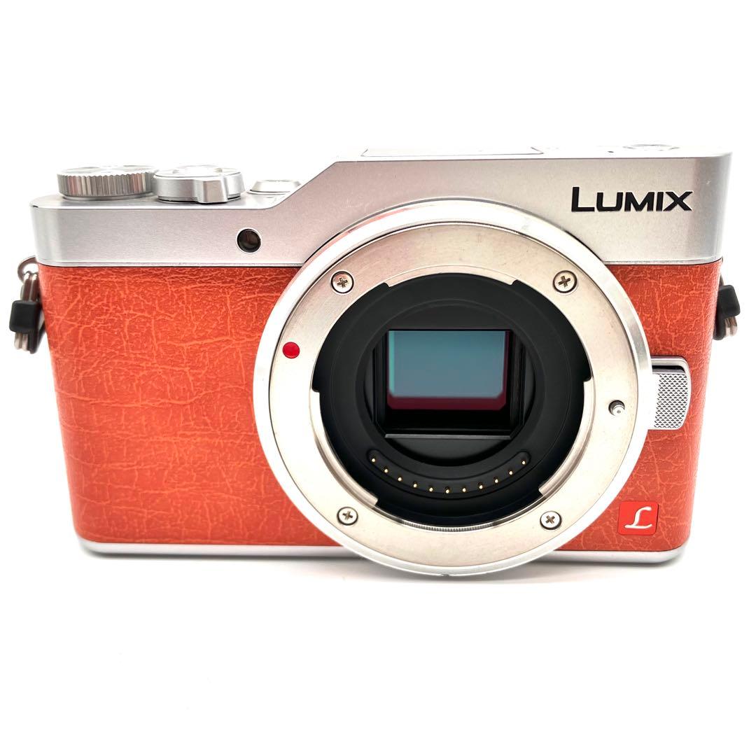 Panasonic DC-GF9 オレンジ　14-42mmレンズキット