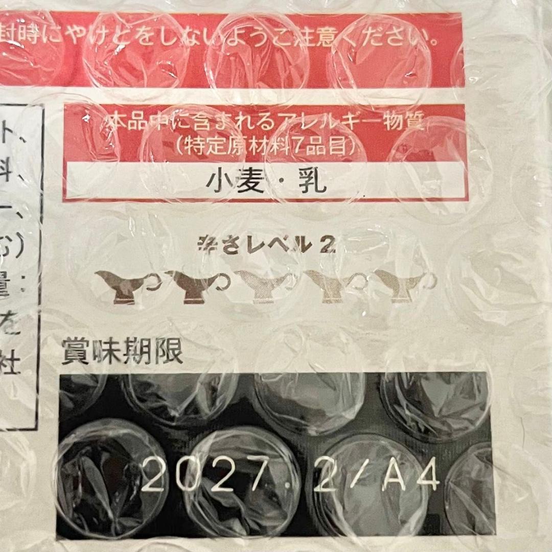 【新品未開封】エレキソルトスプーン ES-S001 レシピブック 無塩カレー付き