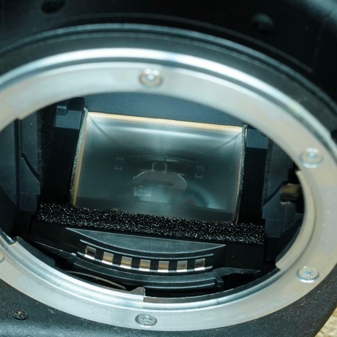 Nikon D40 デジタル一眼レフ + AF-S NIKKOR 18-70