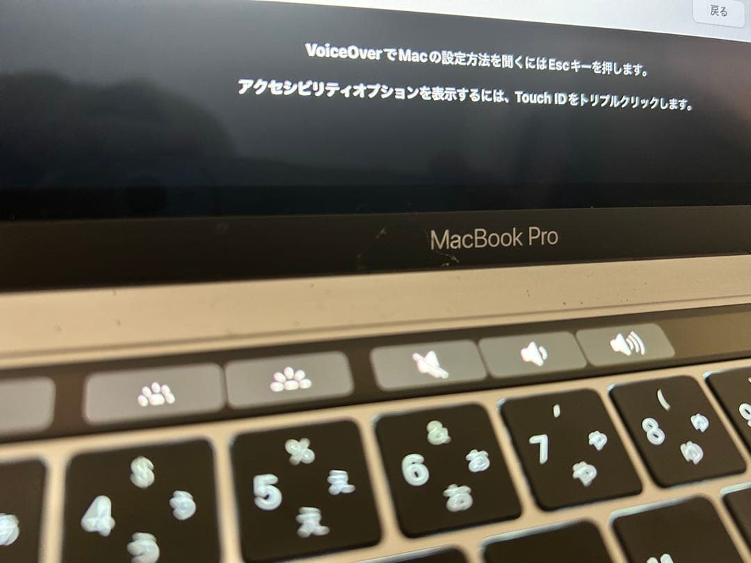 Apple MacBook Pro (2018年モデル)