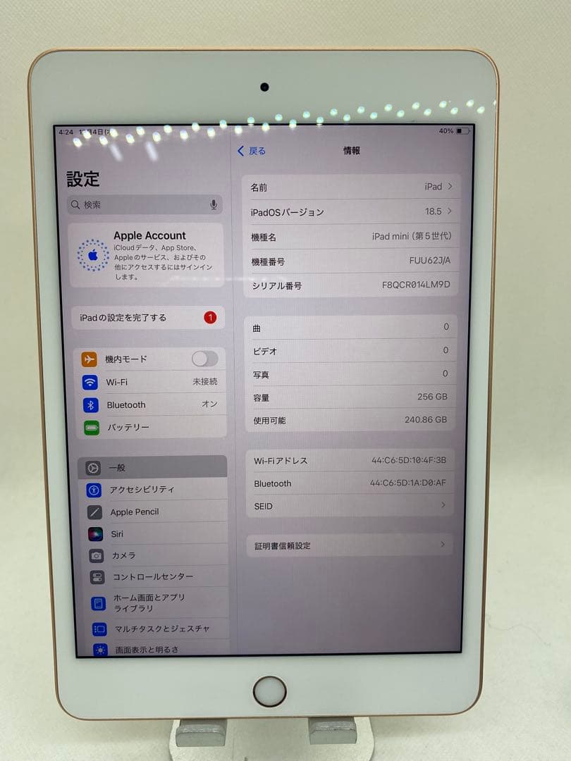 iPad mini 5 256GB 本体　4LM9D