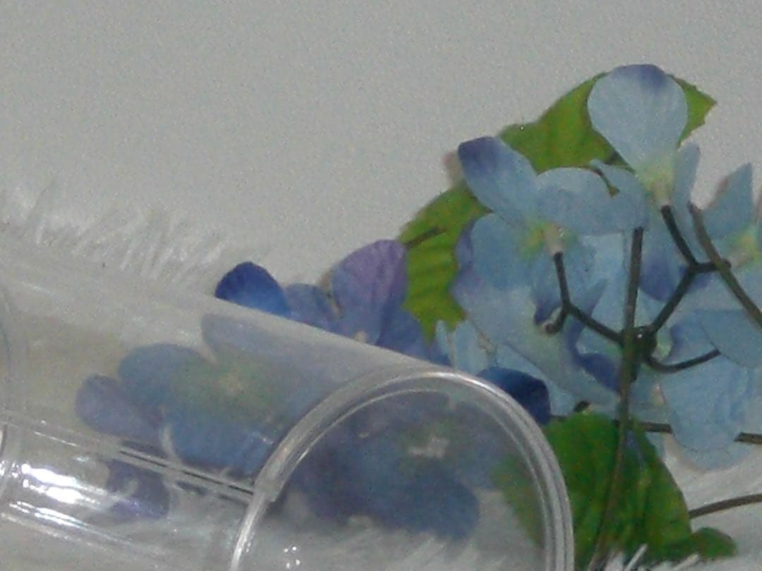 CASIO エクシリム　EX-Z77 充電器　箱　レッド コンデジ　動作品