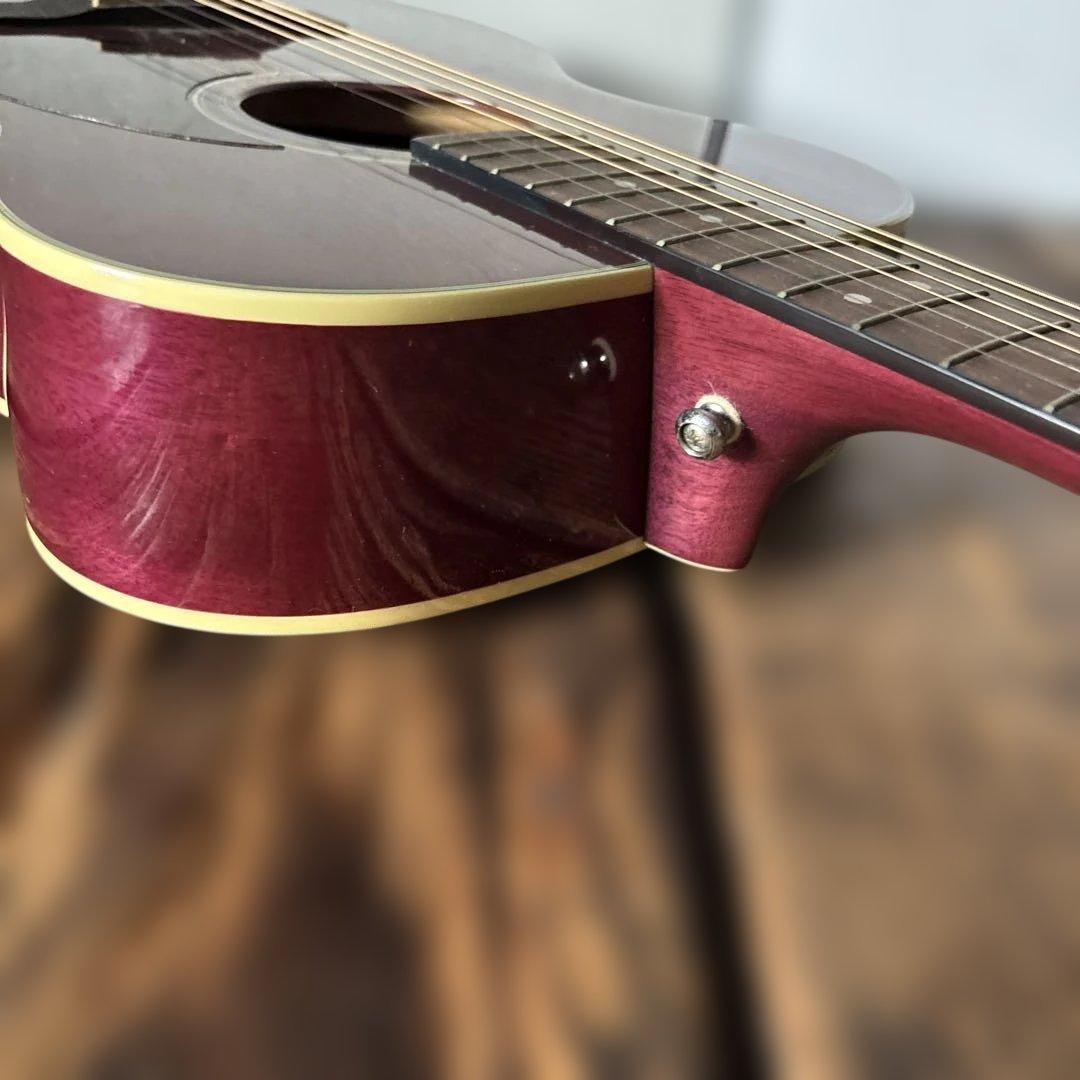 cort L100-0 TP アコースティックギター