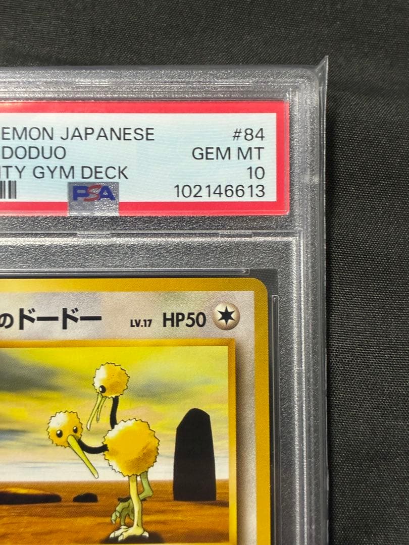 世界20枚 PSA10 カツラのドードー doduo 1999 84 10