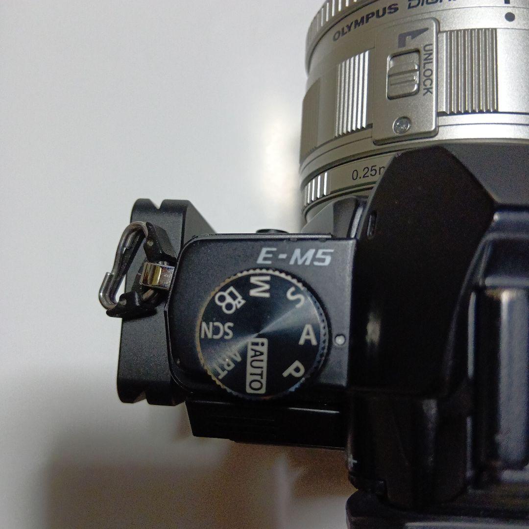 大幅値下げOLYMPUS OM-D ミラーレス一眼カメラレンズグリップ付元箱あり