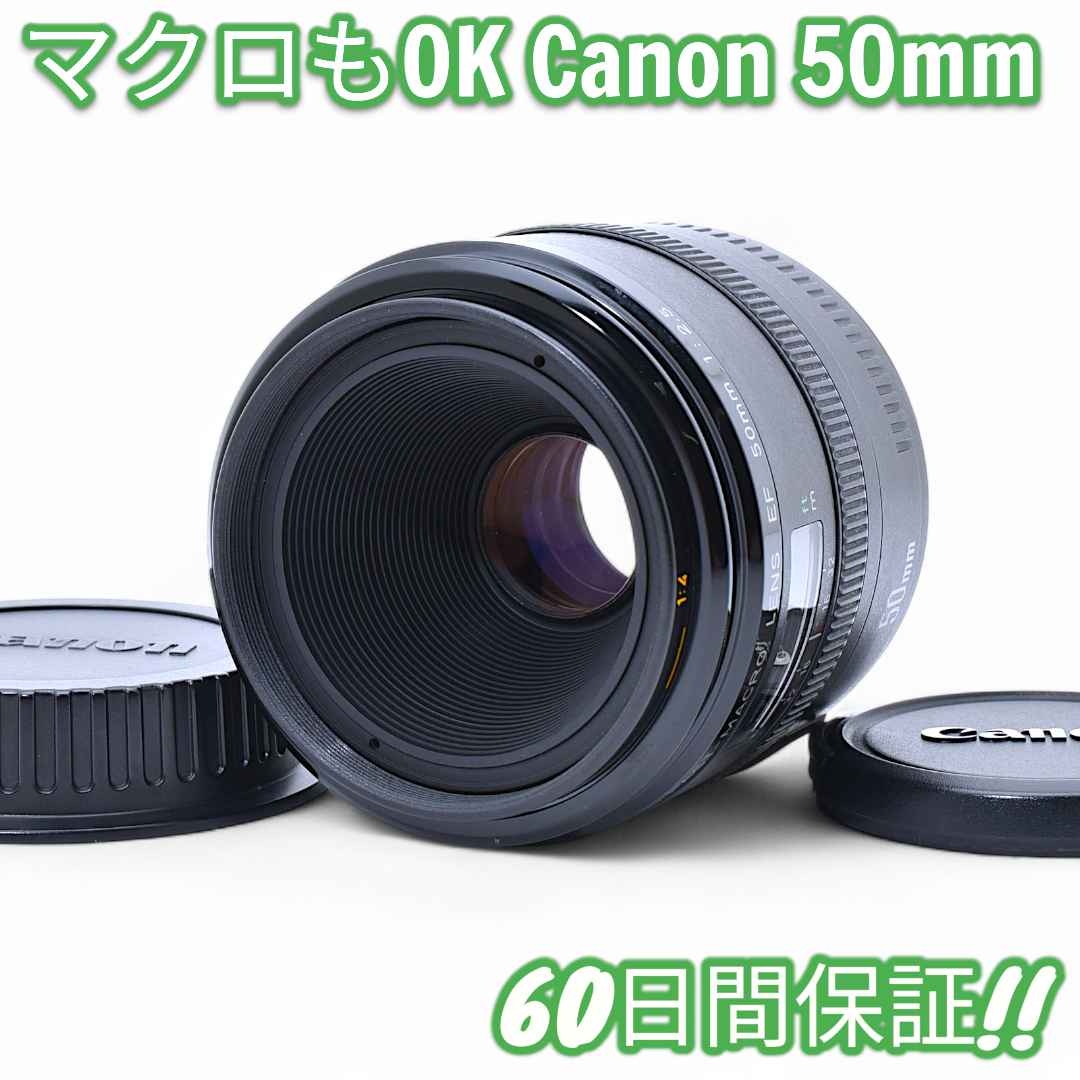 Canon EF 50mm F2.5 コンパクトマクロ #9530