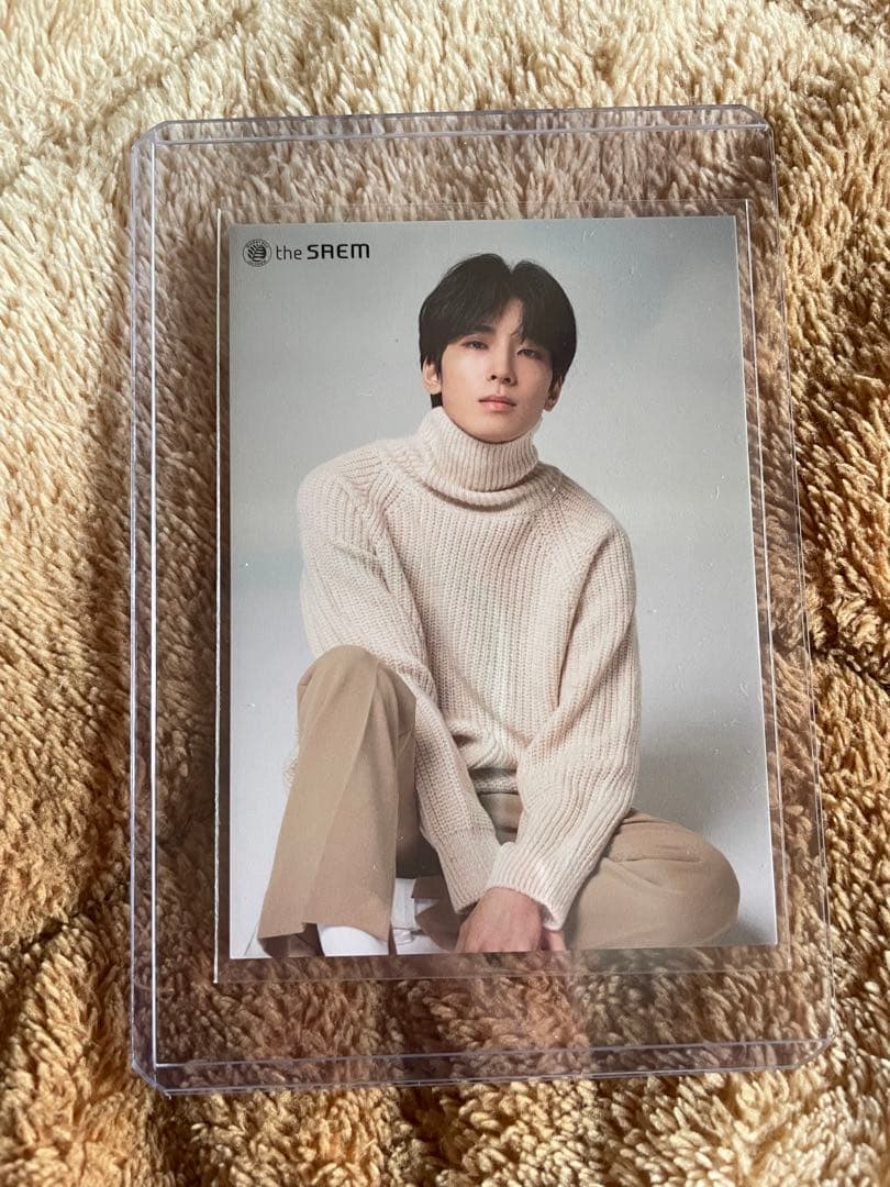 SEVENTEEN ウォヌ ザセム 八尾限定 トレカ the saem