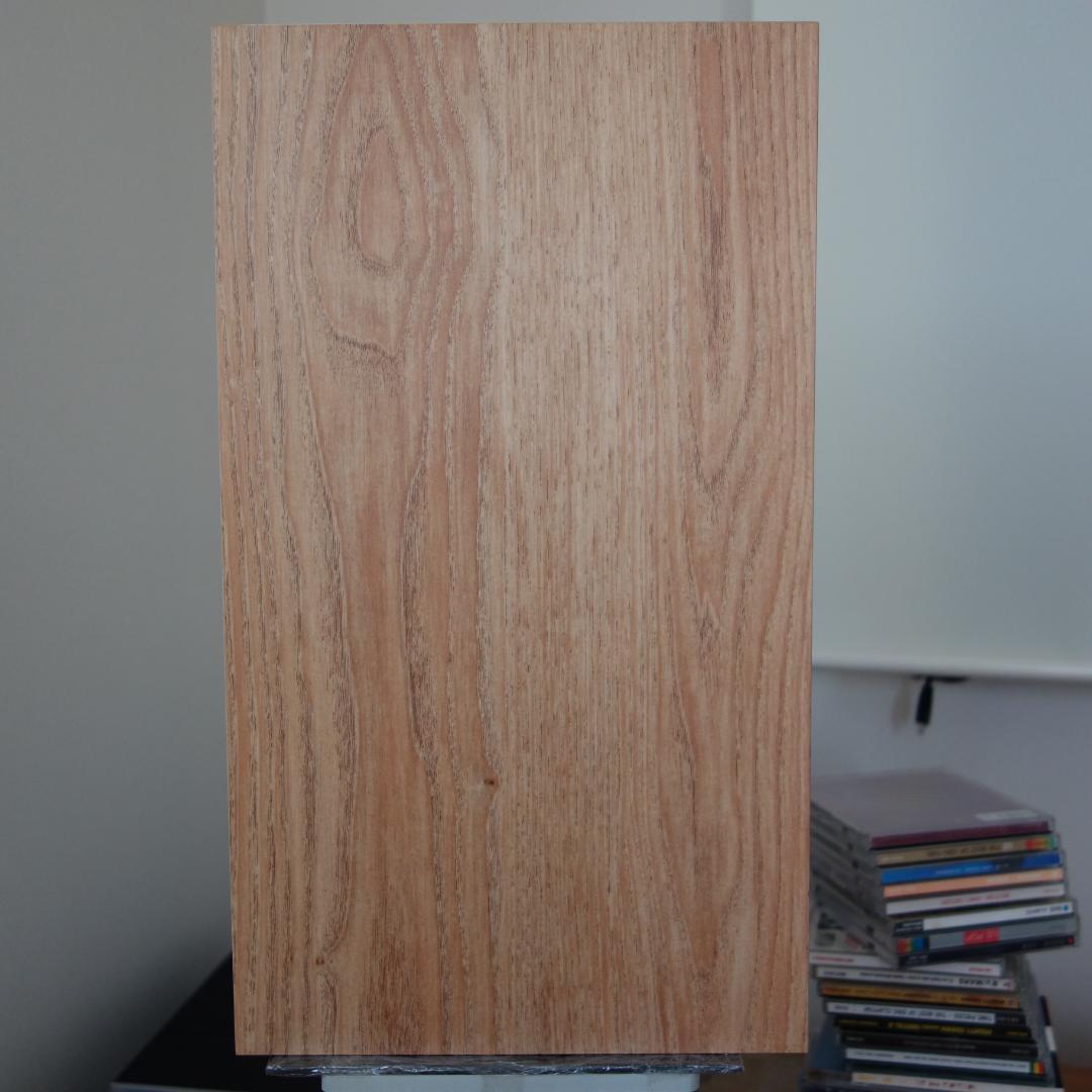 ★☆彡 FOCAL CHORA 806 ライトウッド　ペア　フランス製