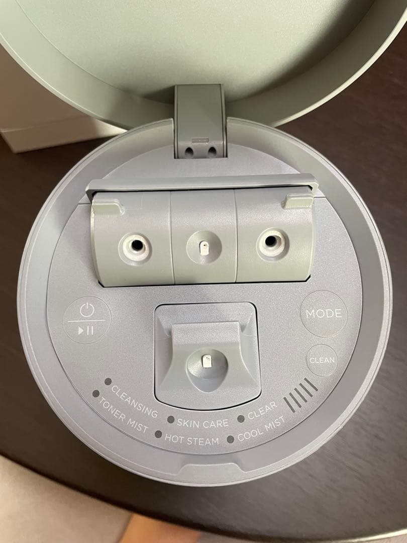 SALONIA ピュアブライトスチーマー