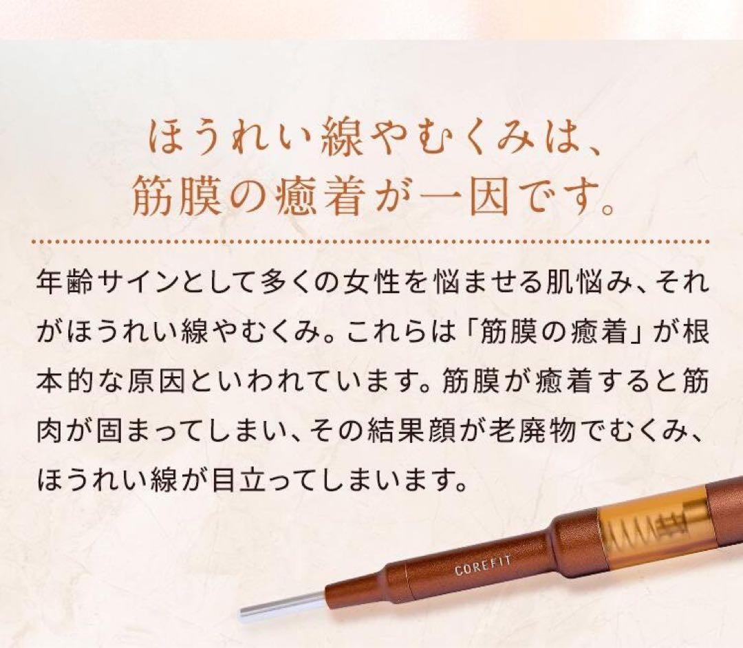 新品　未使用　フェイスポインター　コアフィット