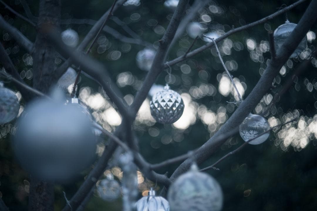 虹の出る癖玉！Leica Summar 50mm f2 オールドレンズ