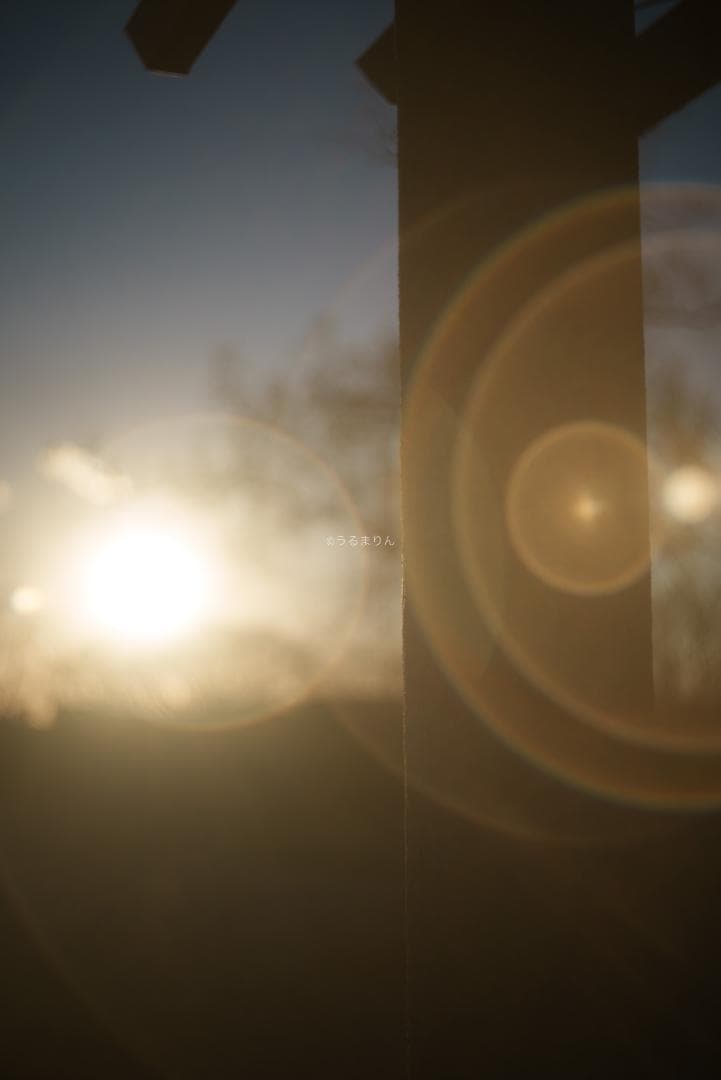 虹の出る癖玉！Leica Summar 50mm f2 オールドレンズ