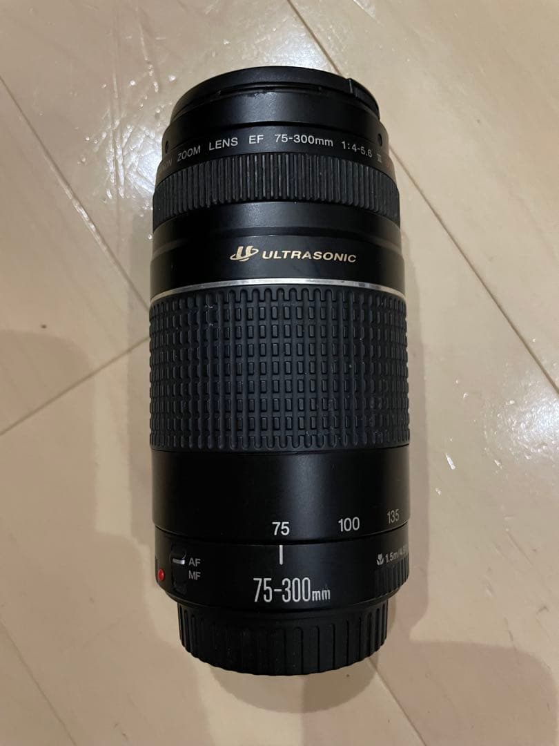 Canon EOS Digital 一眼レフカメラ レンズ2本付き