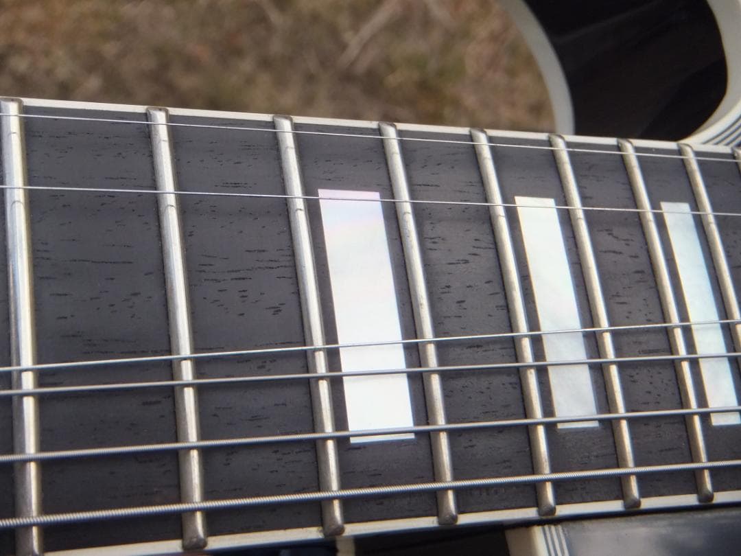 t*様 Fujigen NLC20EMH ラッカー　マホボディー　エボニー指板