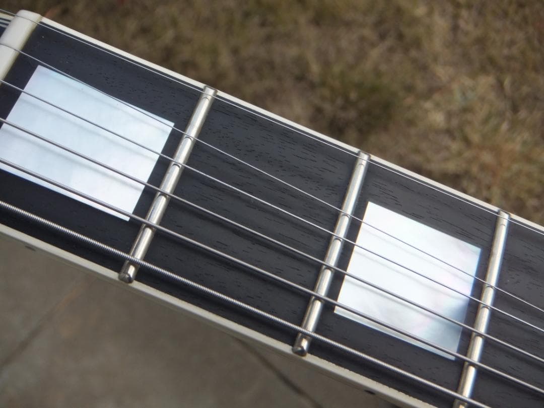 t*様 Fujigen NLC20EMH ラッカー　マホボディー　エボニー指板