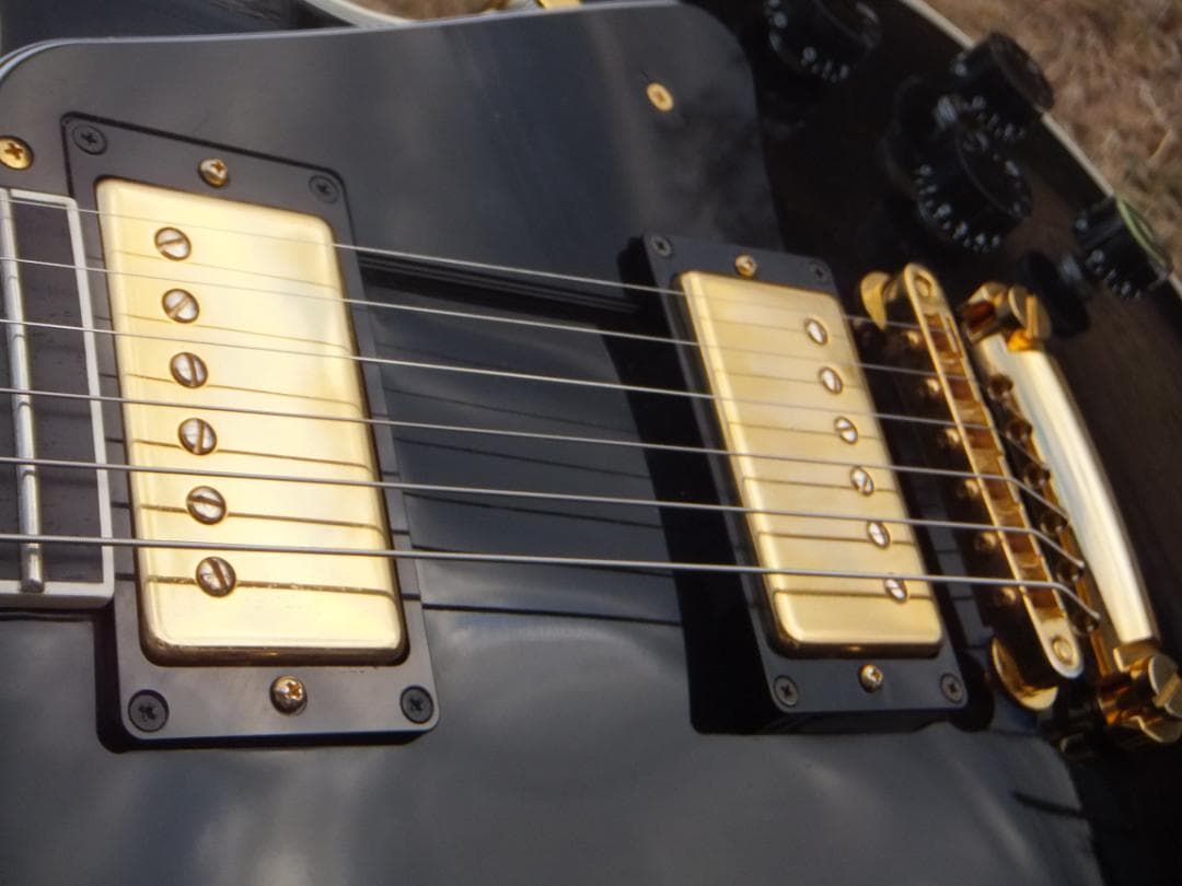 t*様 Fujigen NLC20EMH ラッカー　マホボディー　エボニー指板