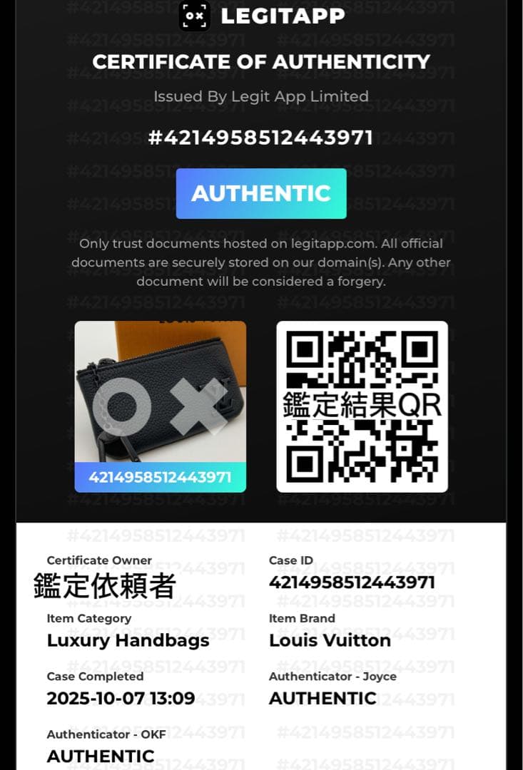 【真贋済・極美品】ルイヴィトン ケース アエログラム ポシェットクレ