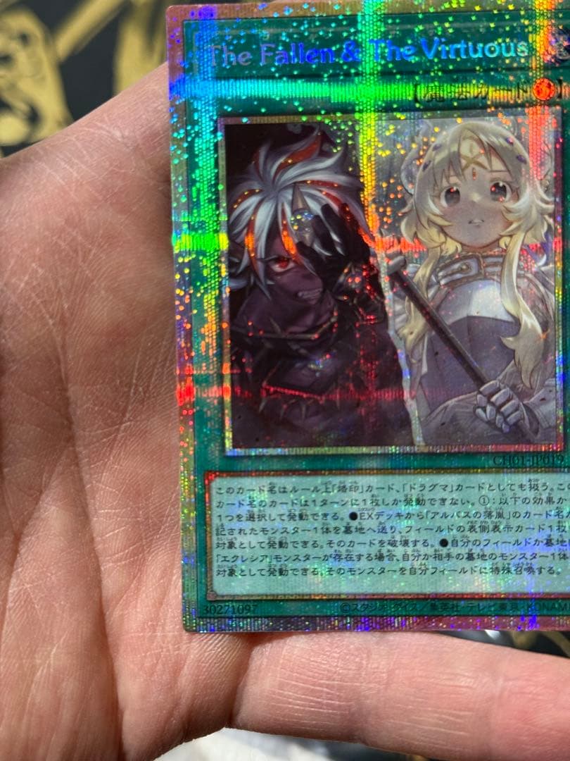 遊戯王【PSE The Fallen & The Virtuous】