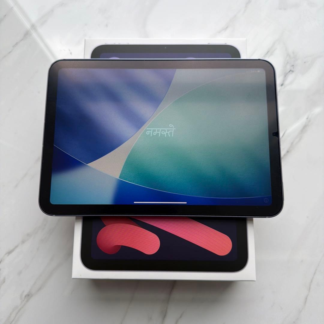 【美品】iPad mini 6 Wi-Fi+Cellularモデル 256GB