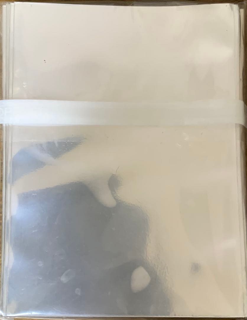 バディファイト　ドラゴンアイン　スリーブ