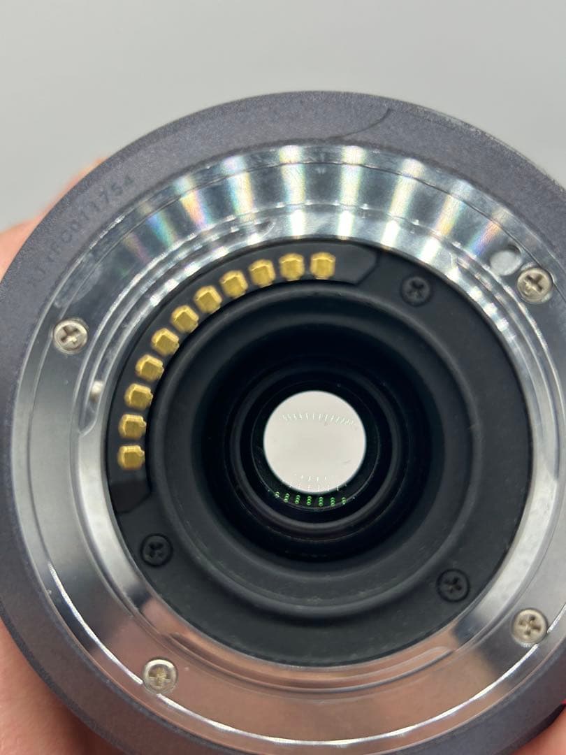 Panasonic LUMIX G VARIO 45-200mm レンズ#75