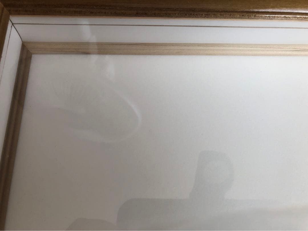 大型ドイツ型標本箱　木製