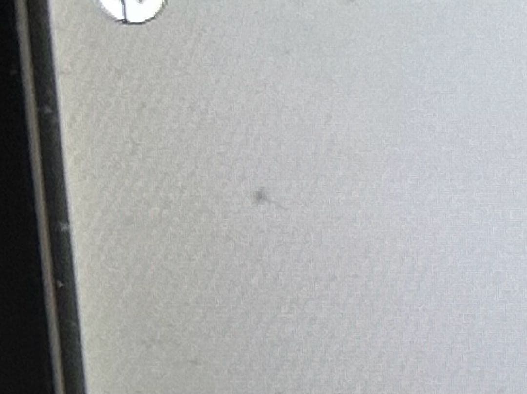 動作良好 RICOH GR APS-C初代 2013