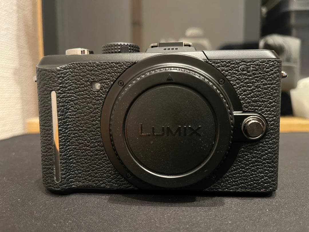 LUMIX GFI ルミックス【極美品】