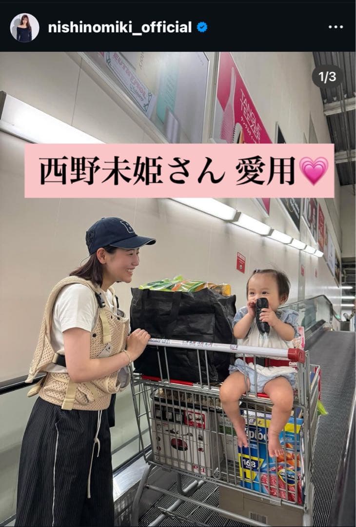 【公式 楽天1位】Bebe Swan BTベスト抱っこ紐