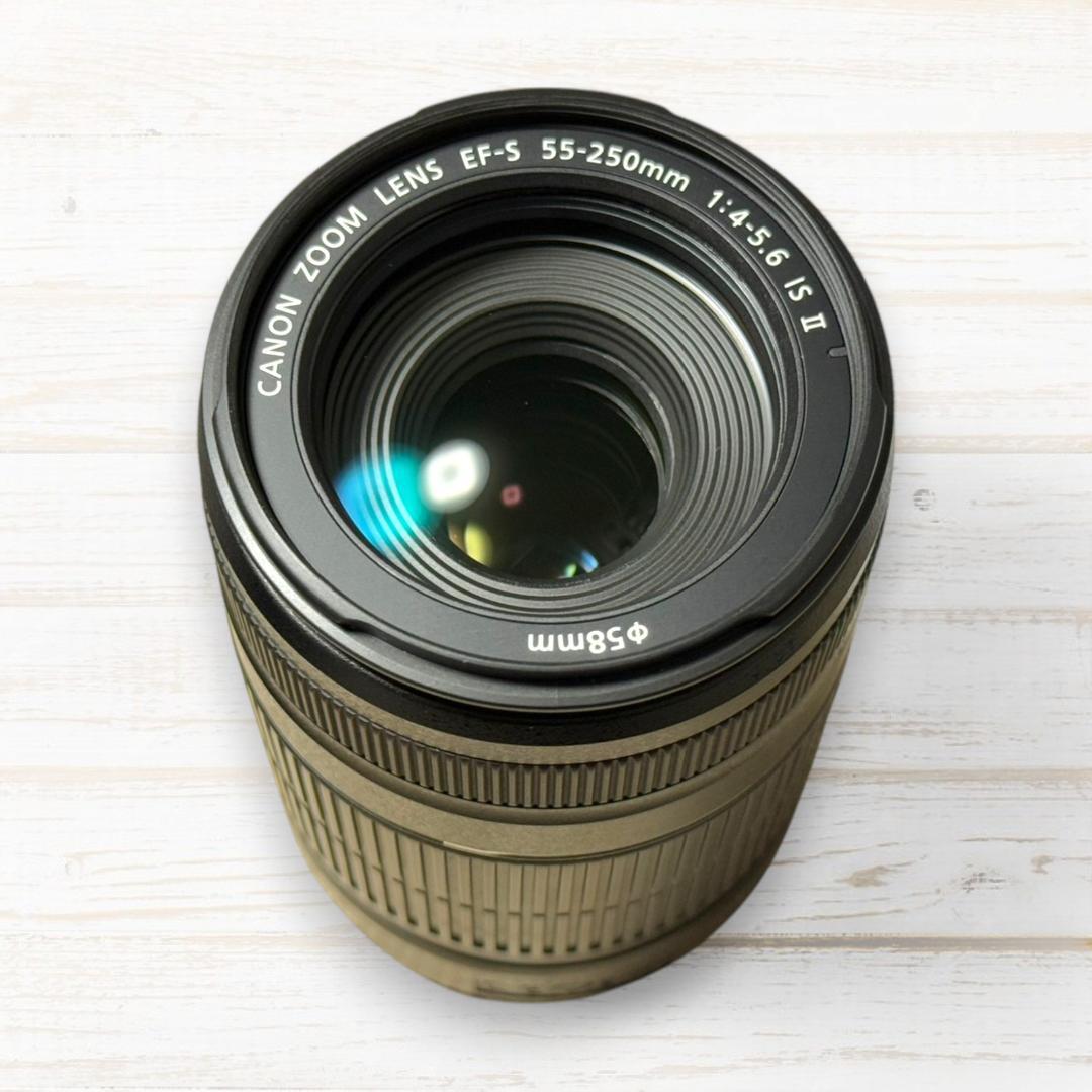 ⭐美品⭐ Canon ズームレンズ EF-S 55-250mm IS Ⅱ #66
