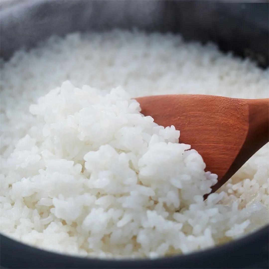 極美品 2024年製 SHARP シャープ KS-CF05D-B炊飯器 3合炊き