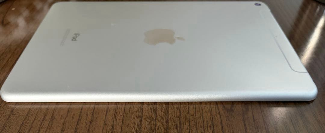 最終値下iPadmini 7.9インチ 第5世代 256GB セルラー シルバー