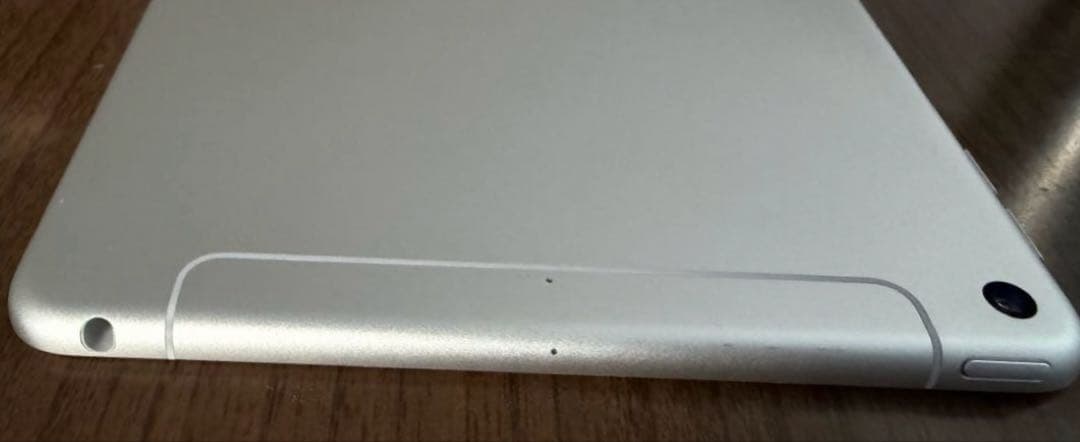 最終値下iPadmini 7.9インチ 第5世代 256GB セルラー シルバー