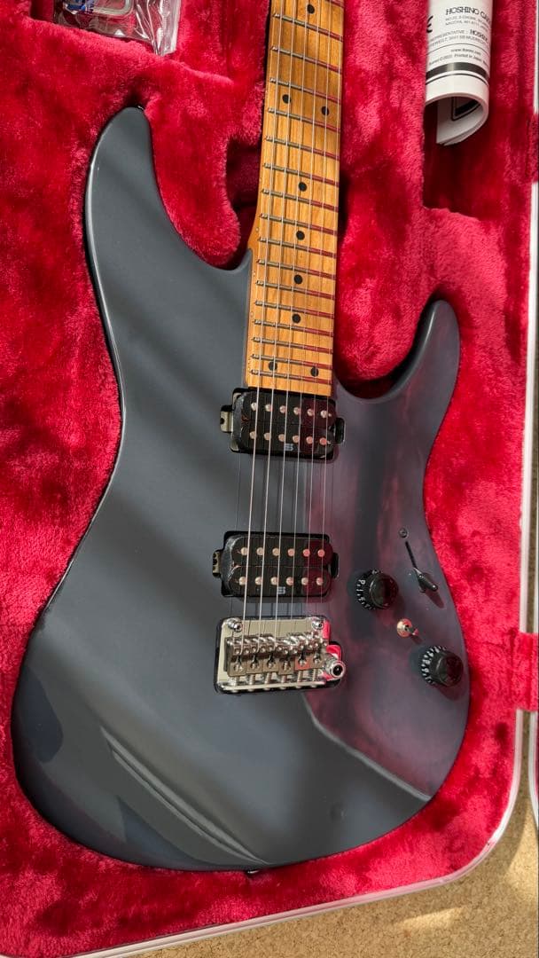 Ibanez AZ2402 2024年12月購入