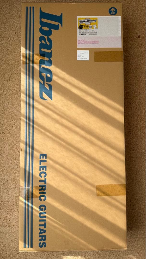 Ibanez AZ2402 2024年12月購入