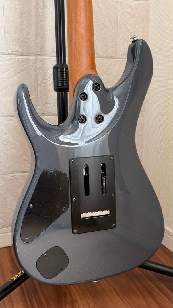 Ibanez AZ2402 2024年12月購入