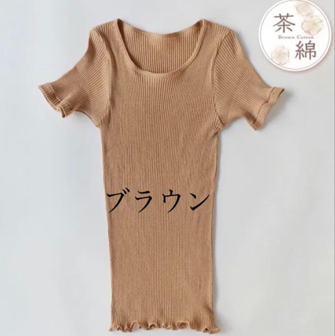 Lily　コットンリブクルーネック4枚　リブ半袖シャツ4枚　おまとめ