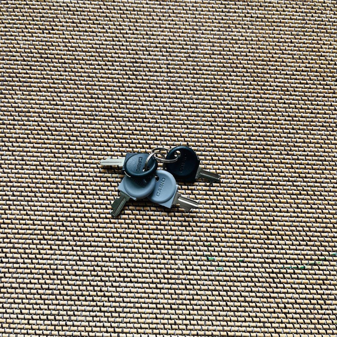 MikusiaCASIO SR-S4000 Bluetooth対応レジスタ