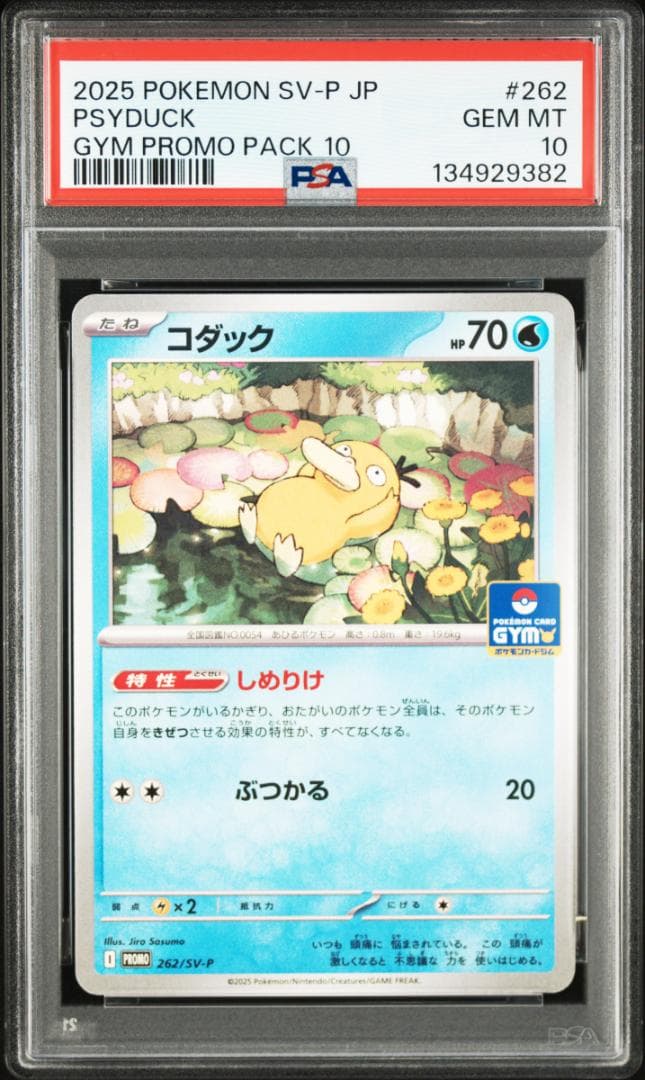 【PSA10 4連番】コダック プロモ ジムプロモ しめりけ 4枚セット