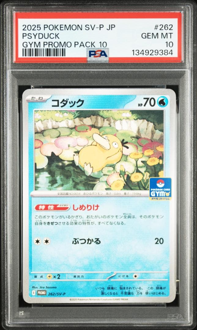 【PSA10 4連番】コダック プロモ ジムプロモ しめりけ 4枚セット