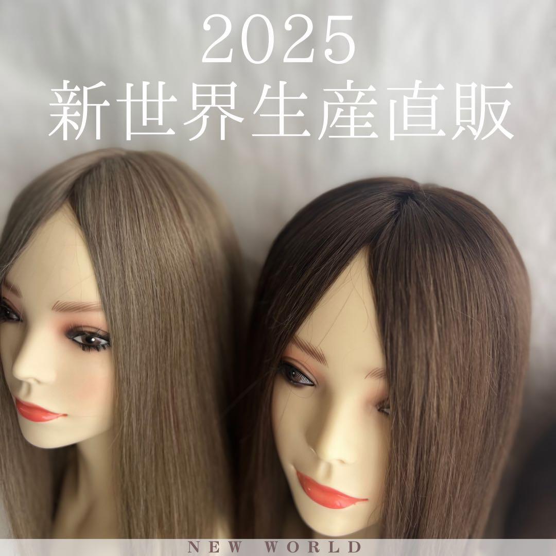 新世界　医療用フルウィッグ高級人毛100% シルクスキン 【総手植え】通気耐久性